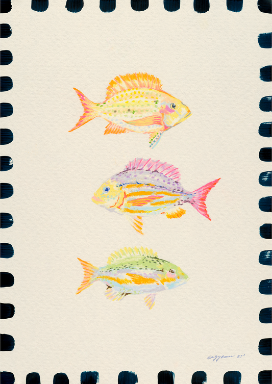 three wise fish fine art print contemporary interior
